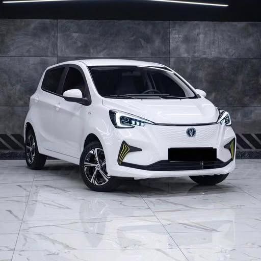 SAKLYORS XOX ELEKTİRİKLİ ARABA